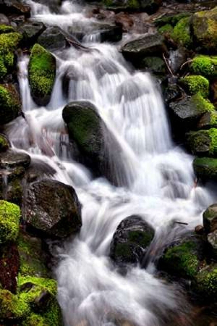Trailside Waterfall I Poster Print by Douglas Taylor - Item # VARPDXPSTLR626